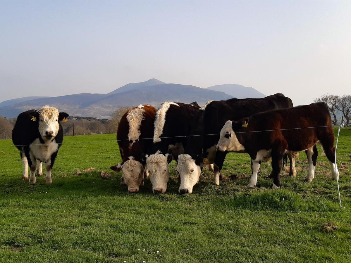 Inveraray Farm Beaufort Ngoại thất bức ảnh