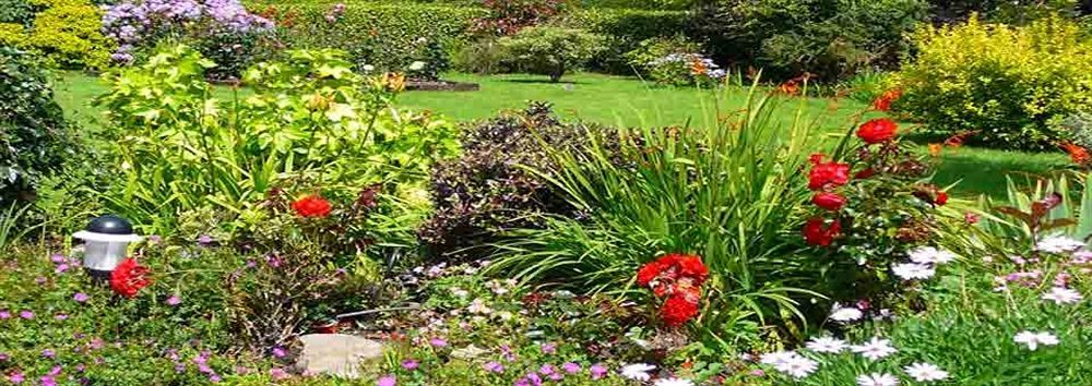 Inveraray Farm Beaufort Ngoại thất bức ảnh