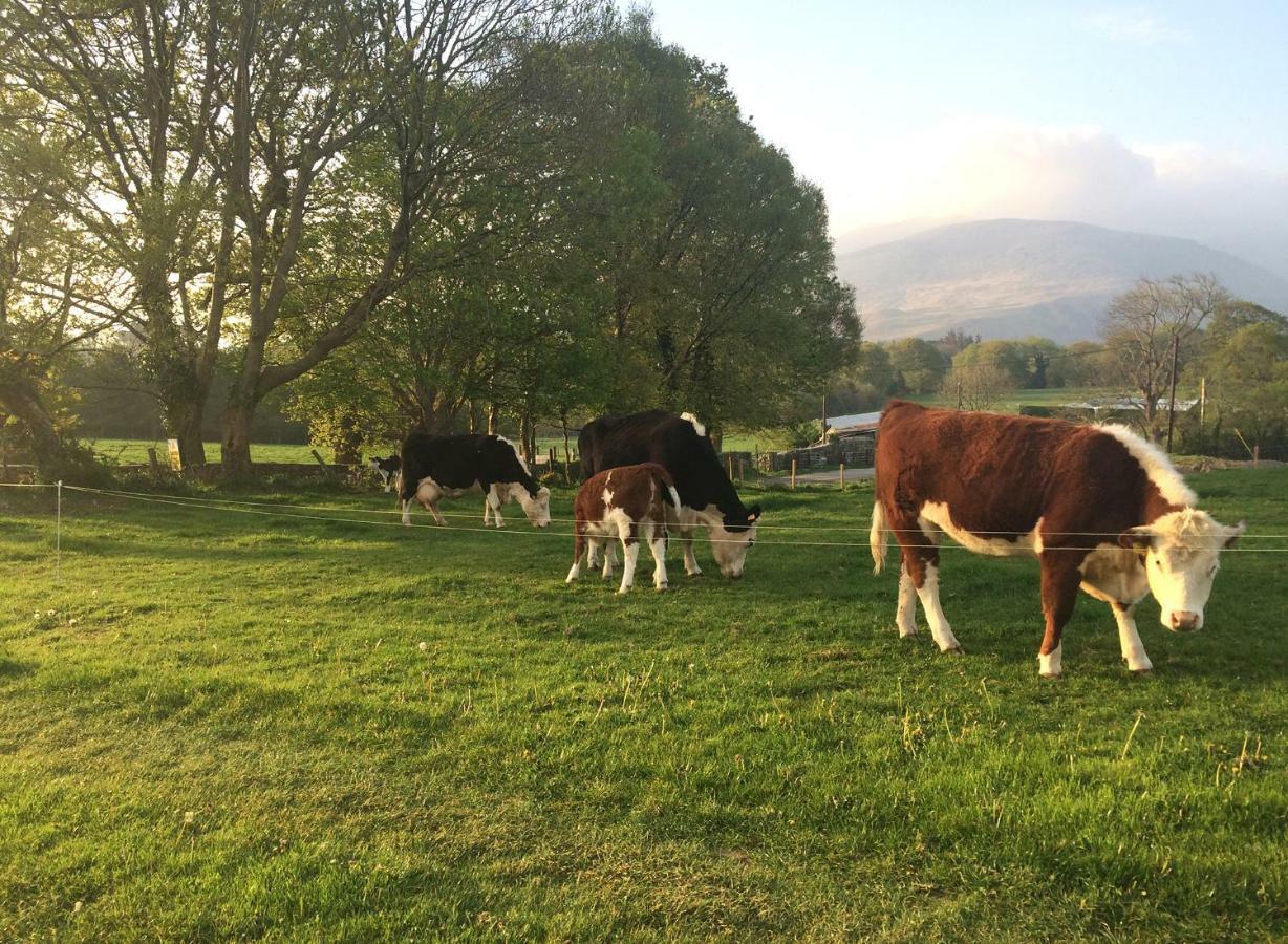 Inveraray Farm Beaufort Ngoại thất bức ảnh